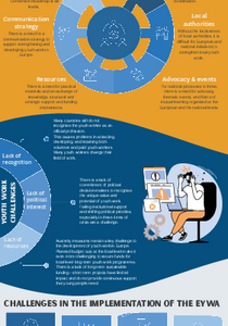 Infographic Survey Report on National Processes within the EYWA implementation 2025