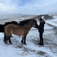 {f:if(condition: user.image.alternative, then: user.image.alternative, else: f:translate(key: 'userinfo.user.image.alt', arguments: {0: user.firstName, 1: user.lastName}, default: 'Profile image of {user.firstName} {user.lastName}'))}