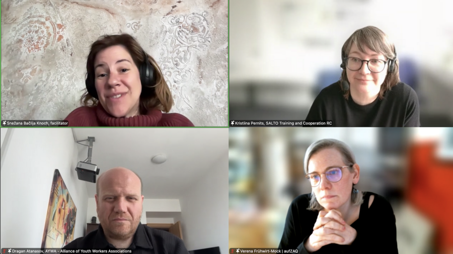 Participants of the webinar