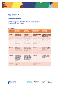 Report - 3rd European Youth Work Convention (Appendixes A-F)