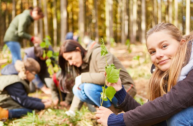 Junge Person pflanzt einen Baum-Setzling
