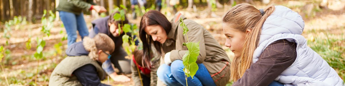Freiwillige pflanzen Bäume im Wald